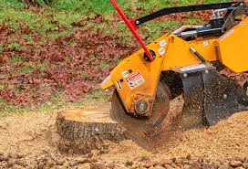 Best Lot and Land Clearing  in Wabash, IN